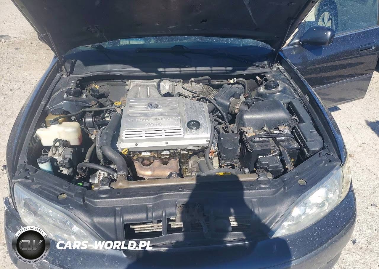 2001 Lexus Es 300 VIN:JT8BF28G010340706 - 11