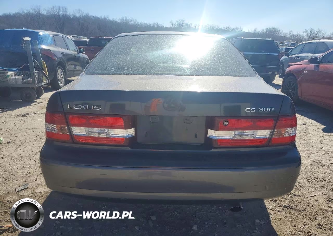 2001 Lexus Es 300 VIN:JT8BF28G010340706 - 6