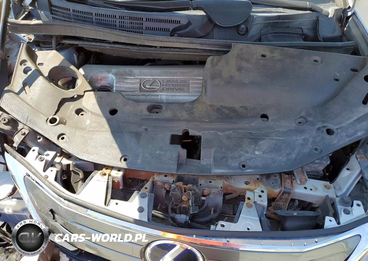2010 Lexus Hs 250H VIN:JTHBB1BA6A2027366 - 11