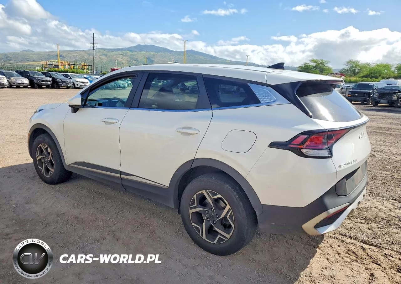 2023 Kia Sportage Lx VIN:KNDPUCAF4P7099673 - 2
