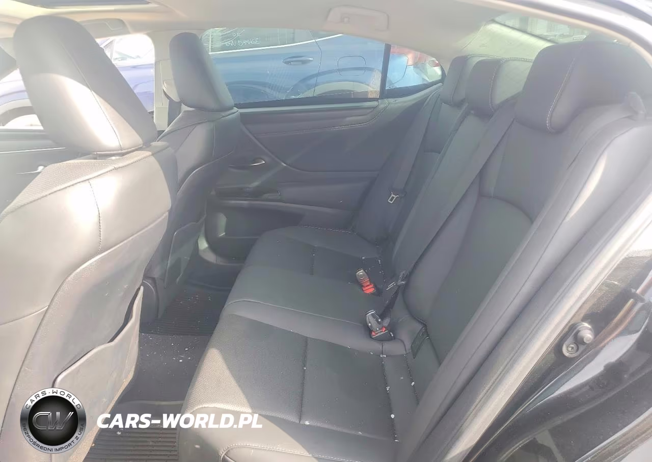 2023 Lexus Es 350 Base VIN:58ADZ1B14PU152423 - 10