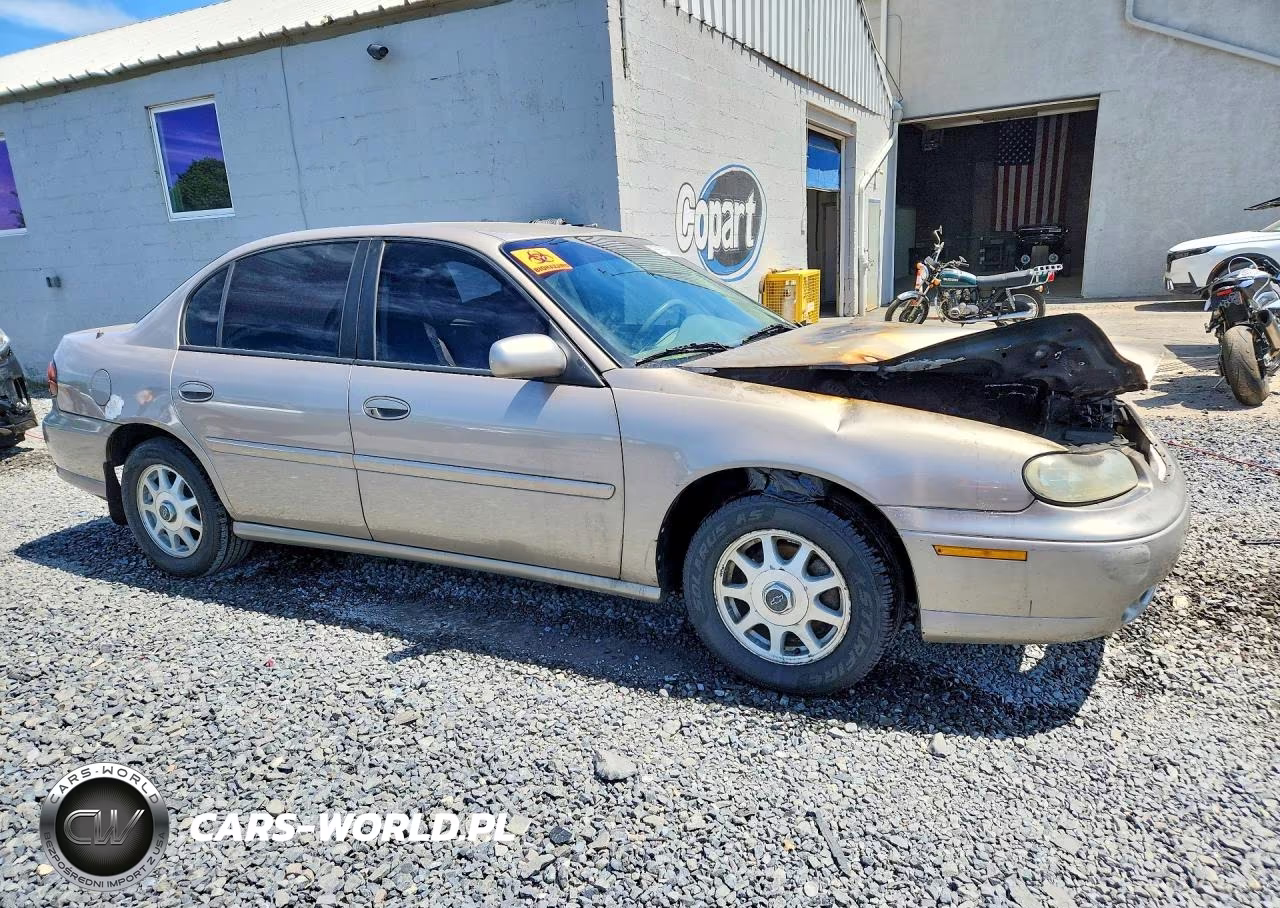 1999 Chevrolet Malibu Ls VIN:1G1NE52J0X6247609 - 4