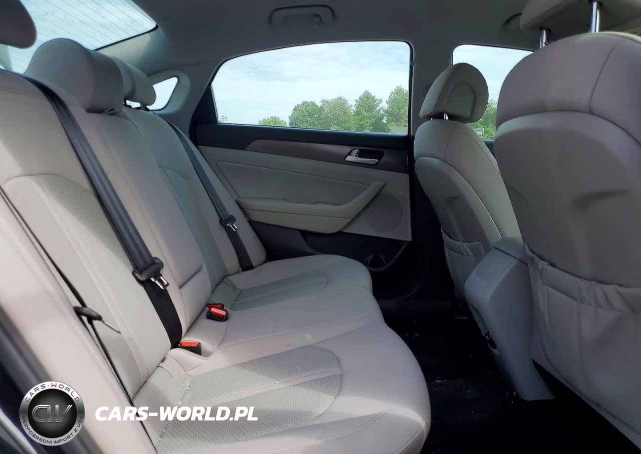 2015 Hyundai Sonata Sport VIN:5NPE34AF7FH111079 - 10