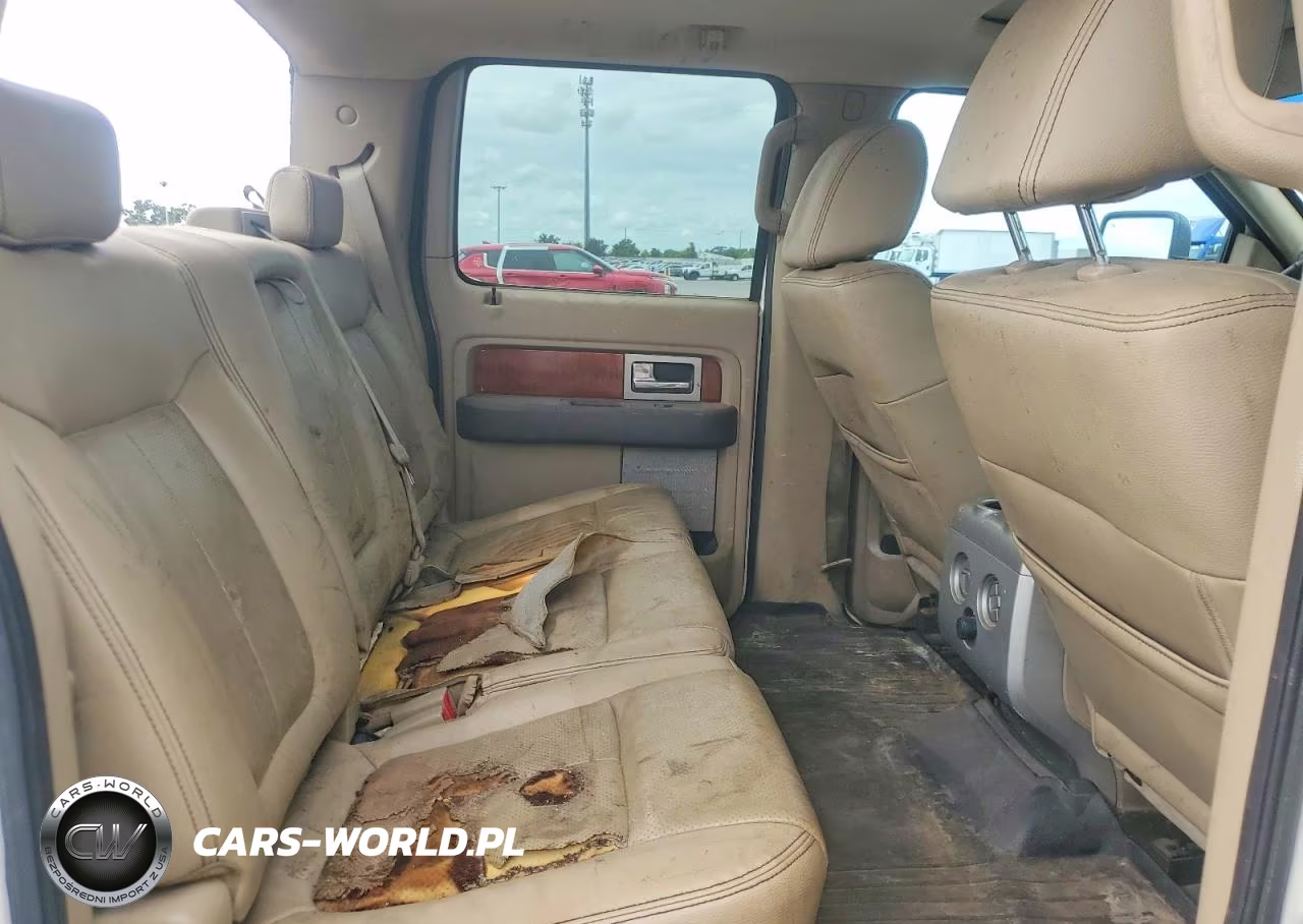 2009 Ford F150 Supercrew VIN:1FTPW14V69FA39727 - 10