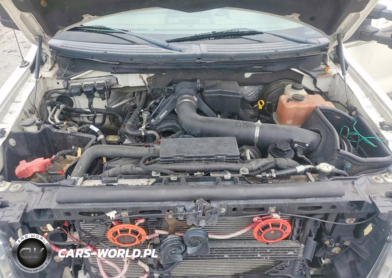 2009 Ford F150 Supercrew VIN:1FTPW14V69FA39727 - 11