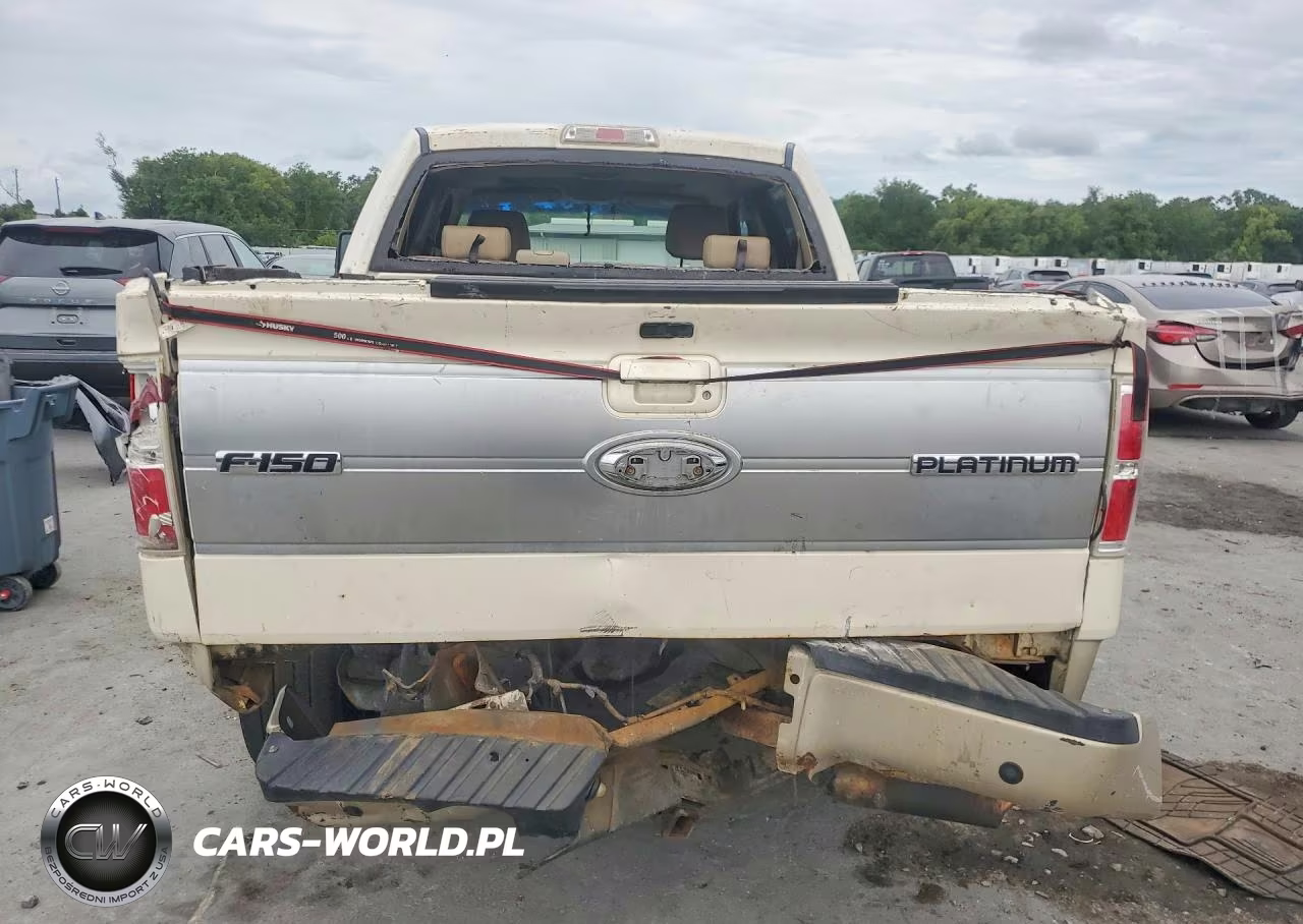 2009 Ford F150 Supercrew VIN:1FTPW14V69FA39727 - 6