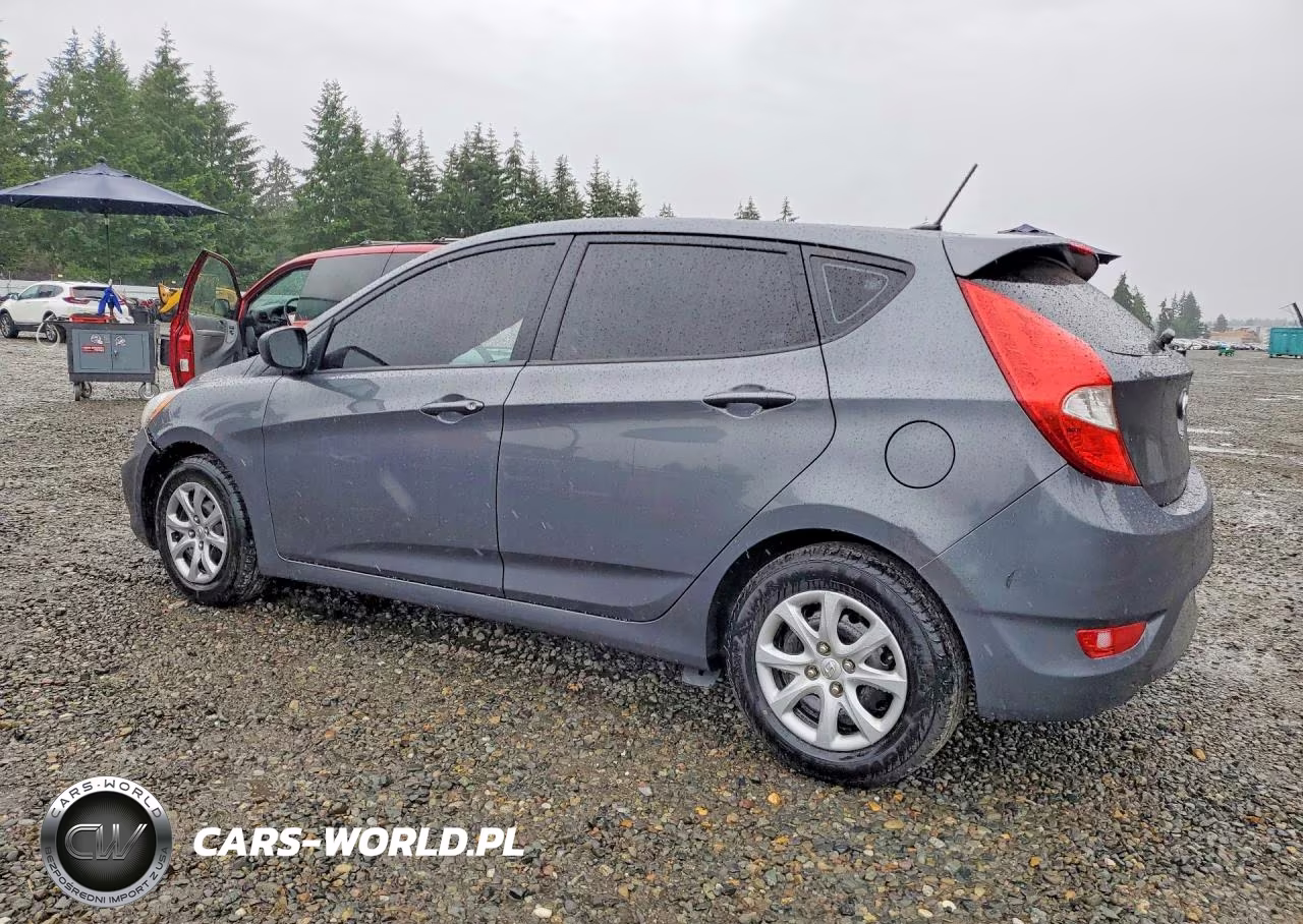 2013 Hyundai Accent Gs VIN:KMHCT5AEXDU066318 - 2