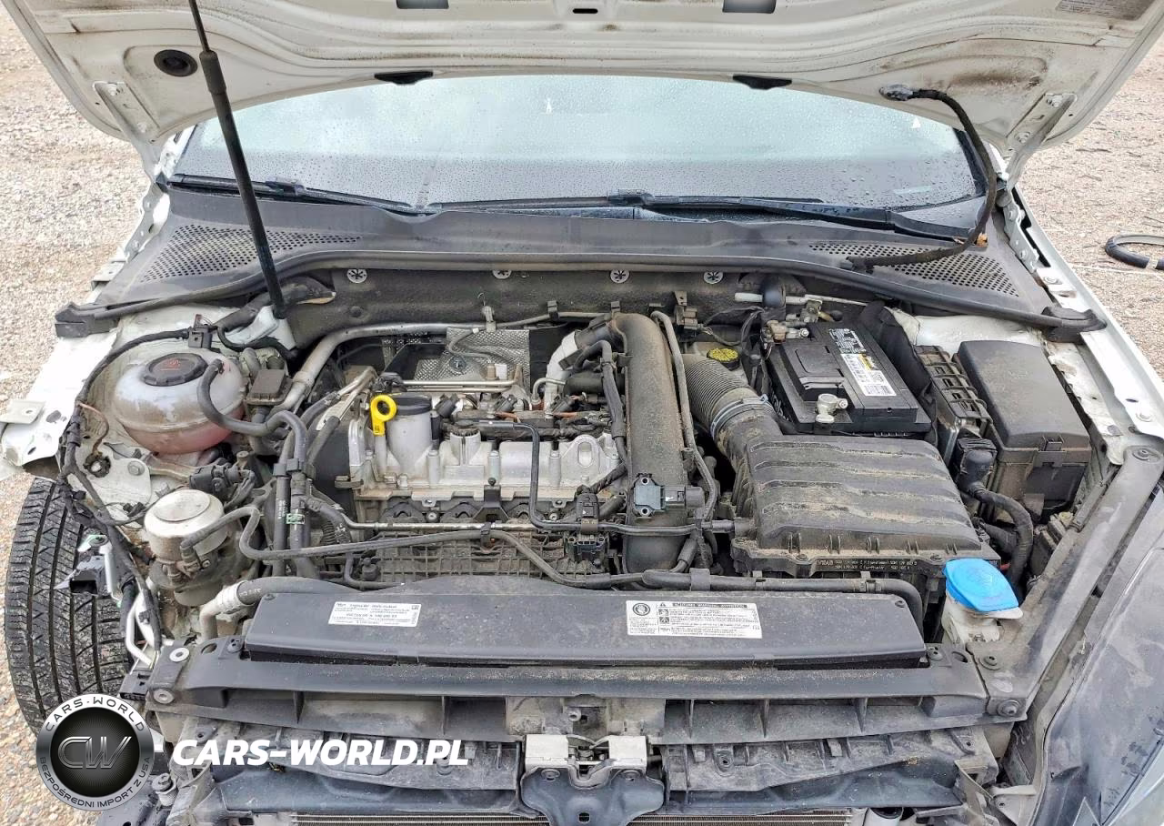 2019 Volkswagen Golf S VIN:3VWG57AU4KM032621 - 11