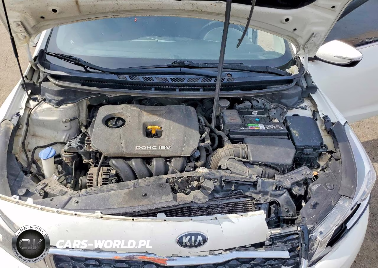 2017 Kia Forte S VIN:3KPFL4A76HE042308 - 11
