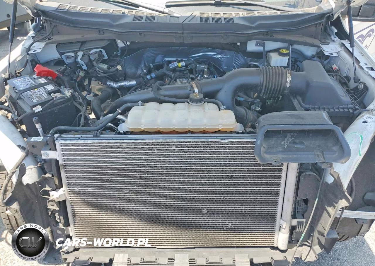 2024 Ford F150 Xl VIN:1FTMF1KP0RKD31534 - 11