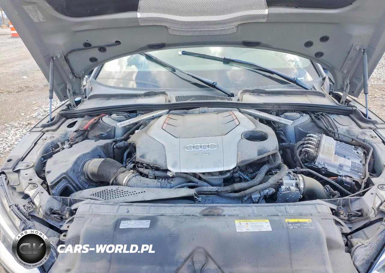 2019 Audi S5 Premium Plus VIN:WAUB4CF53KA094371 - 11