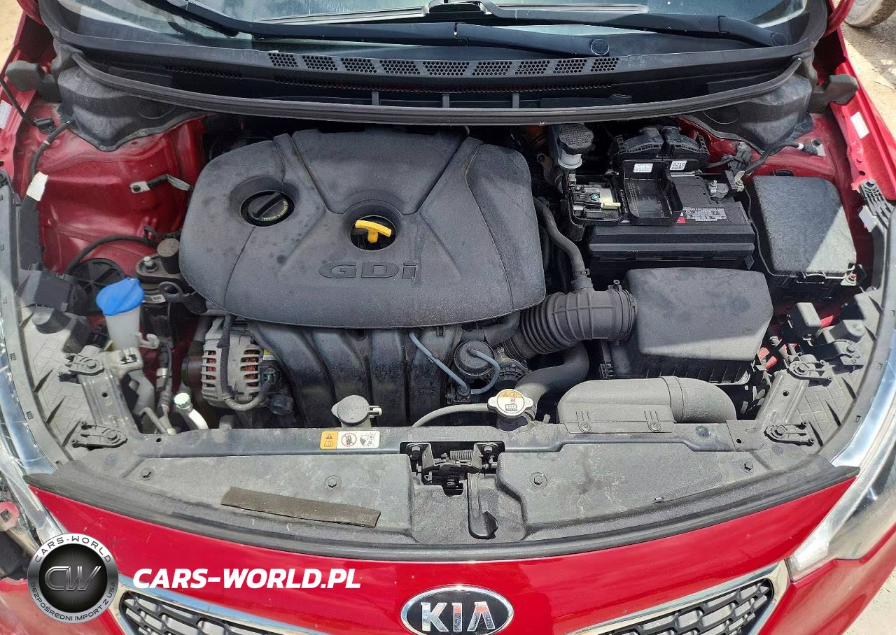 2014 Kia Forte Ex VIN:KNAFZ4A80E5064235 - 11