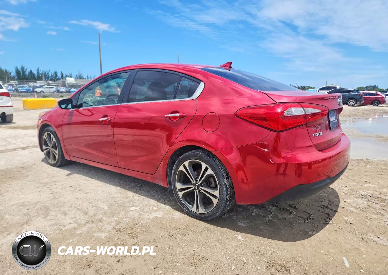2014 Kia Forte Ex VIN:KNAFZ4A80E5064235 - 2