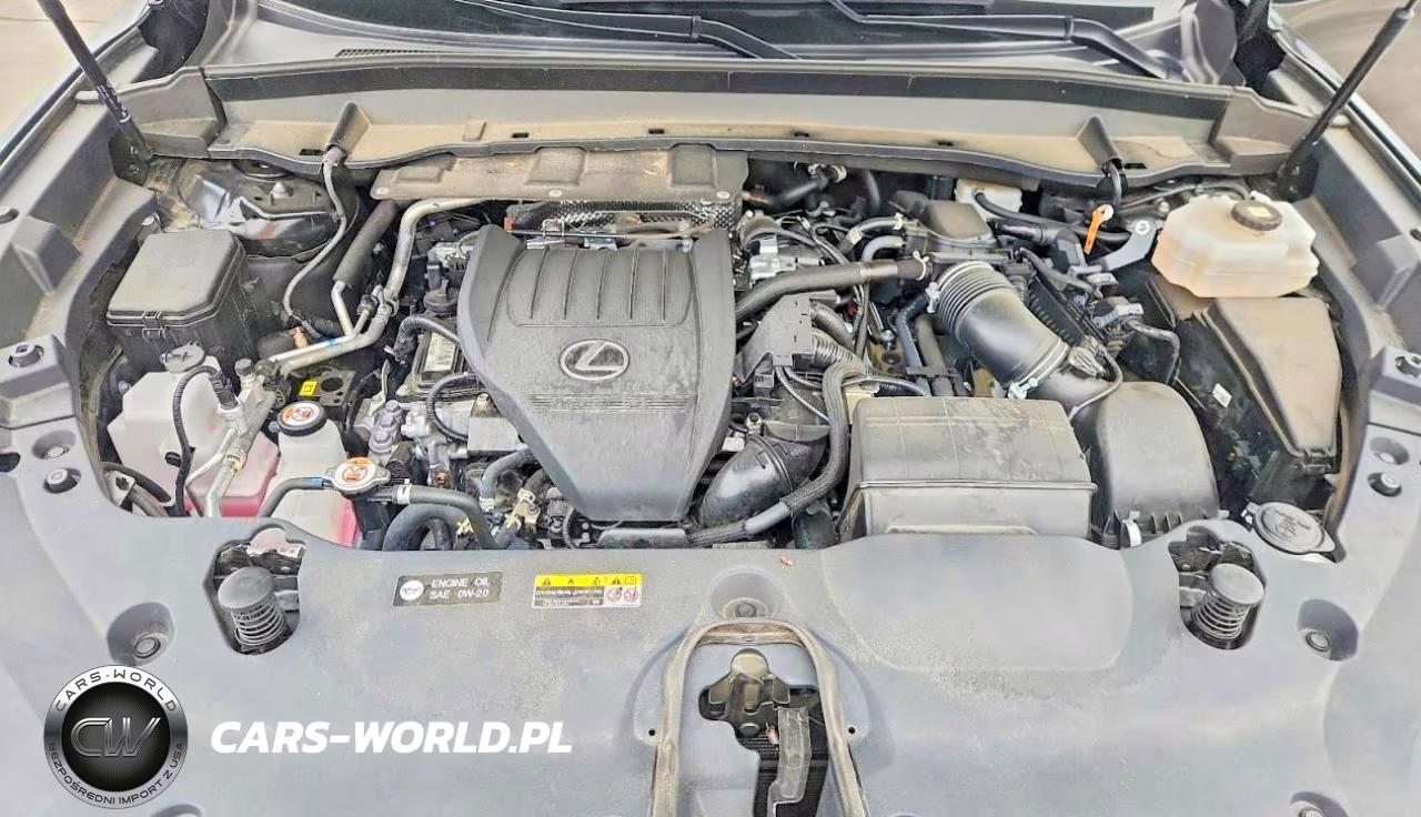 2024 Lexus Tx 500H F Sport Performance Premium VIN:5TDABAB63RS005127 - 12