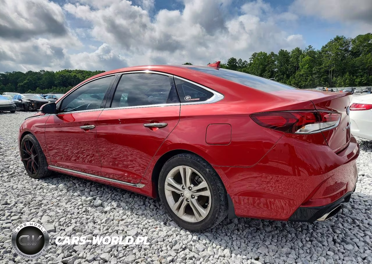 2019 Hyundai Sonata Sport VIN:5NPE34AF5KH751205 - 2