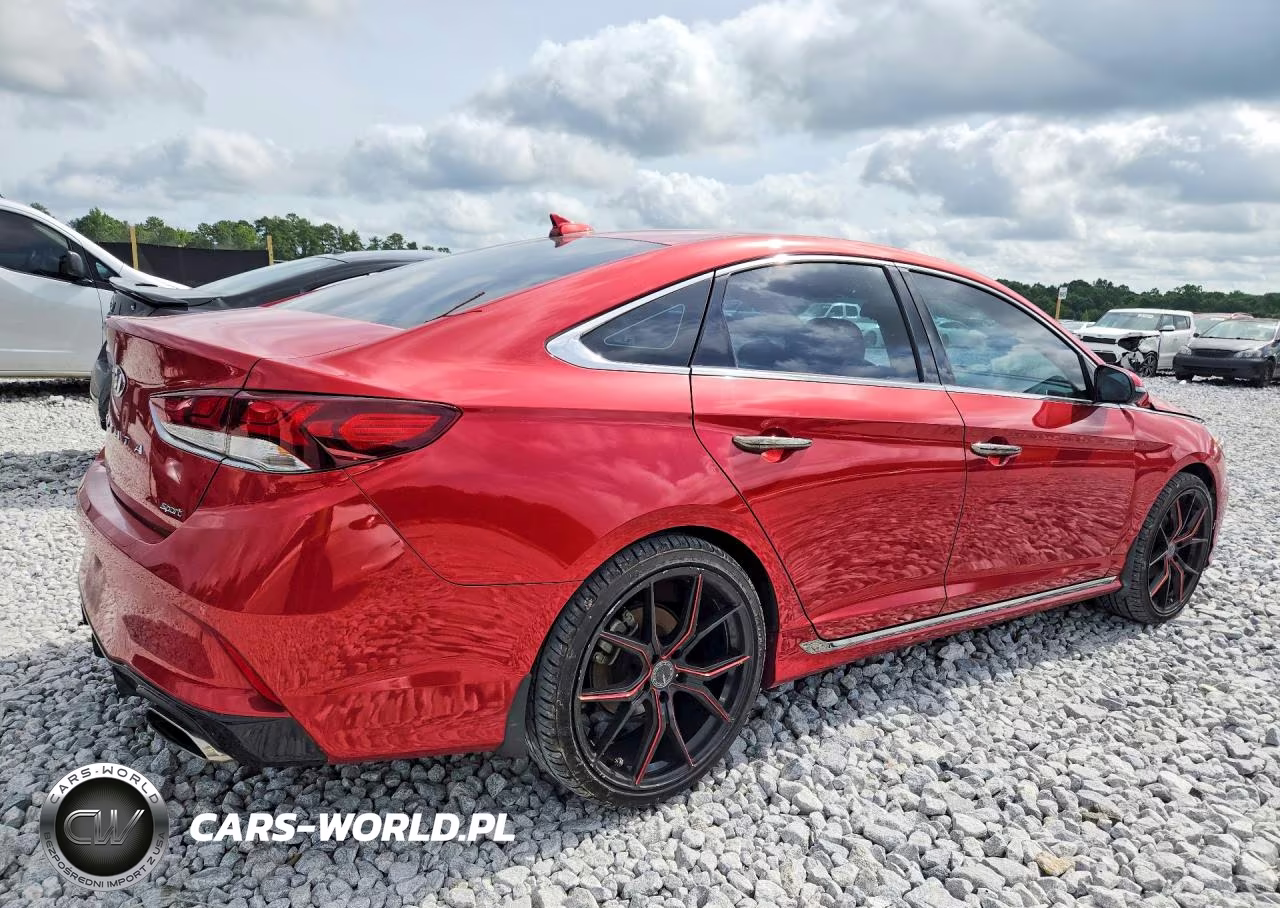 2019 Hyundai Sonata Sport VIN:5NPE34AF5KH751205 - 3