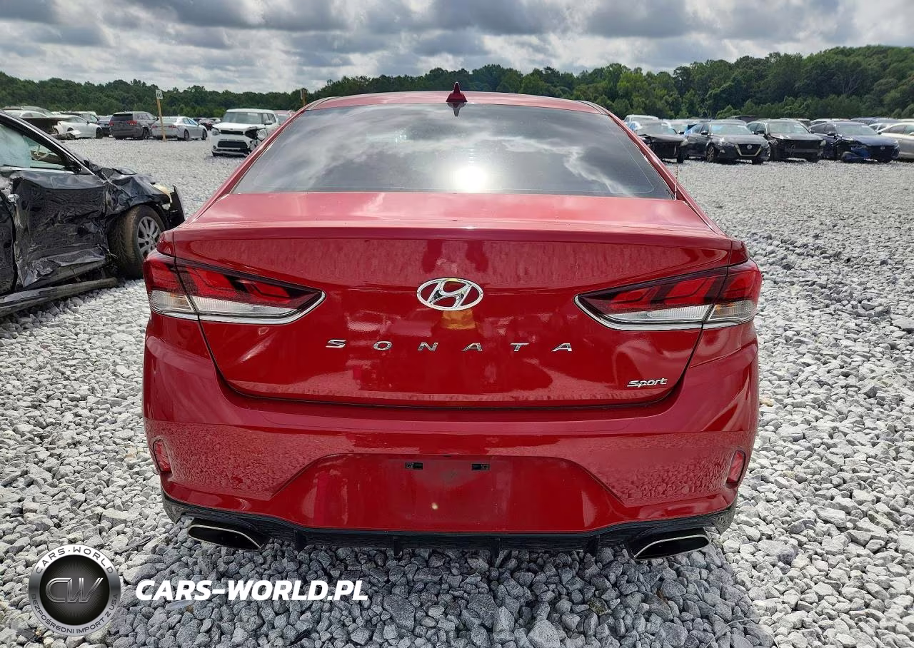 2019 Hyundai Sonata Sport VIN:5NPE34AF5KH751205 - 6