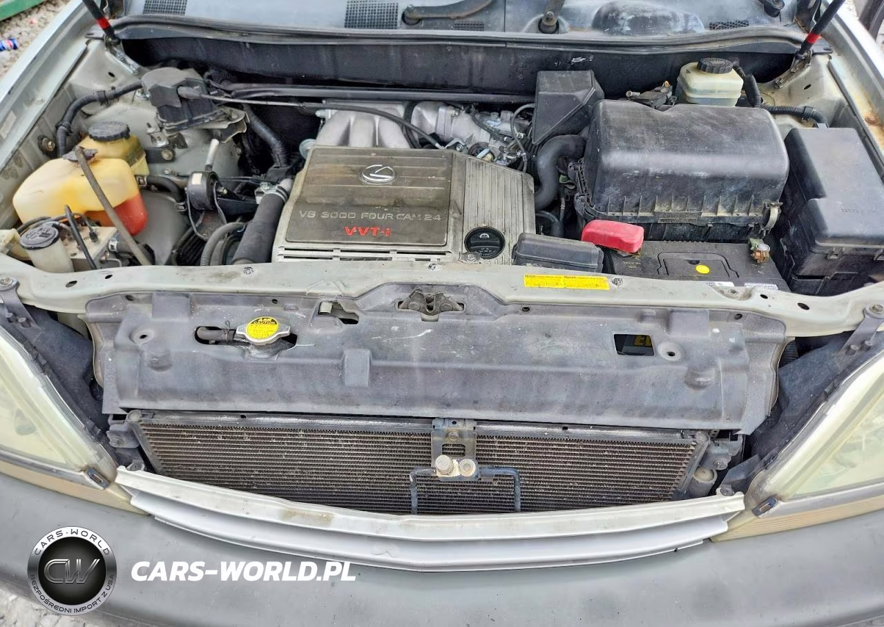 2002 Lexus Rx 300 VIN:JTJHF10U720286178 - 12