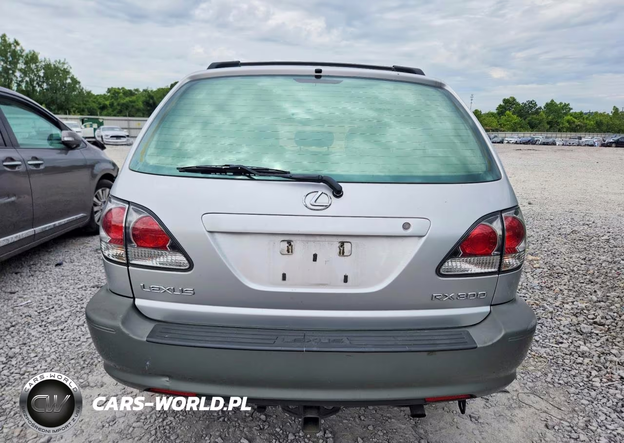 2002 Lexus Rx 300 VIN:JTJHF10U720286178 - 6