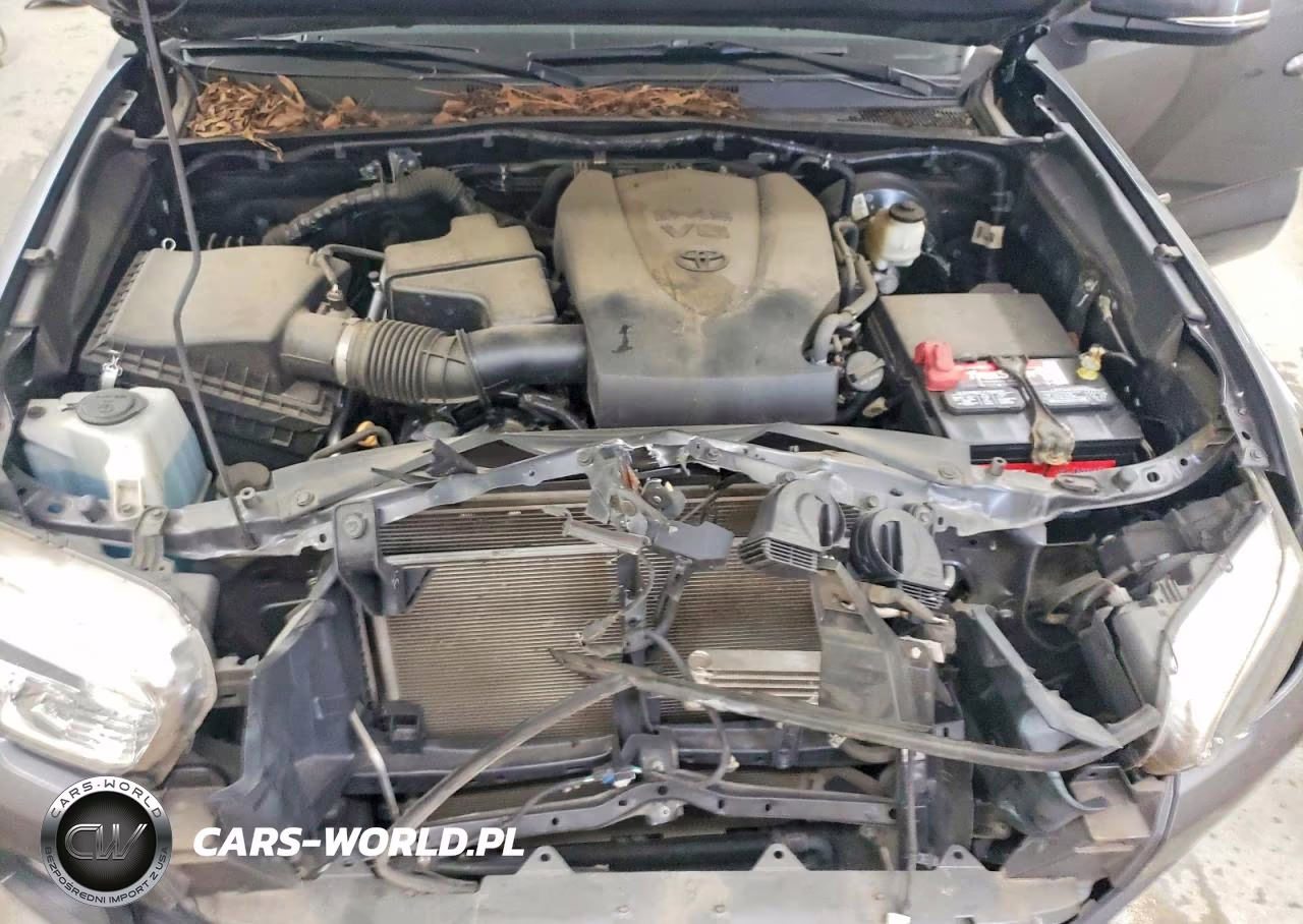 2020 Toyota Tacoma Trd Sport VIN:3TMCZ5AN2LM341072 - 11