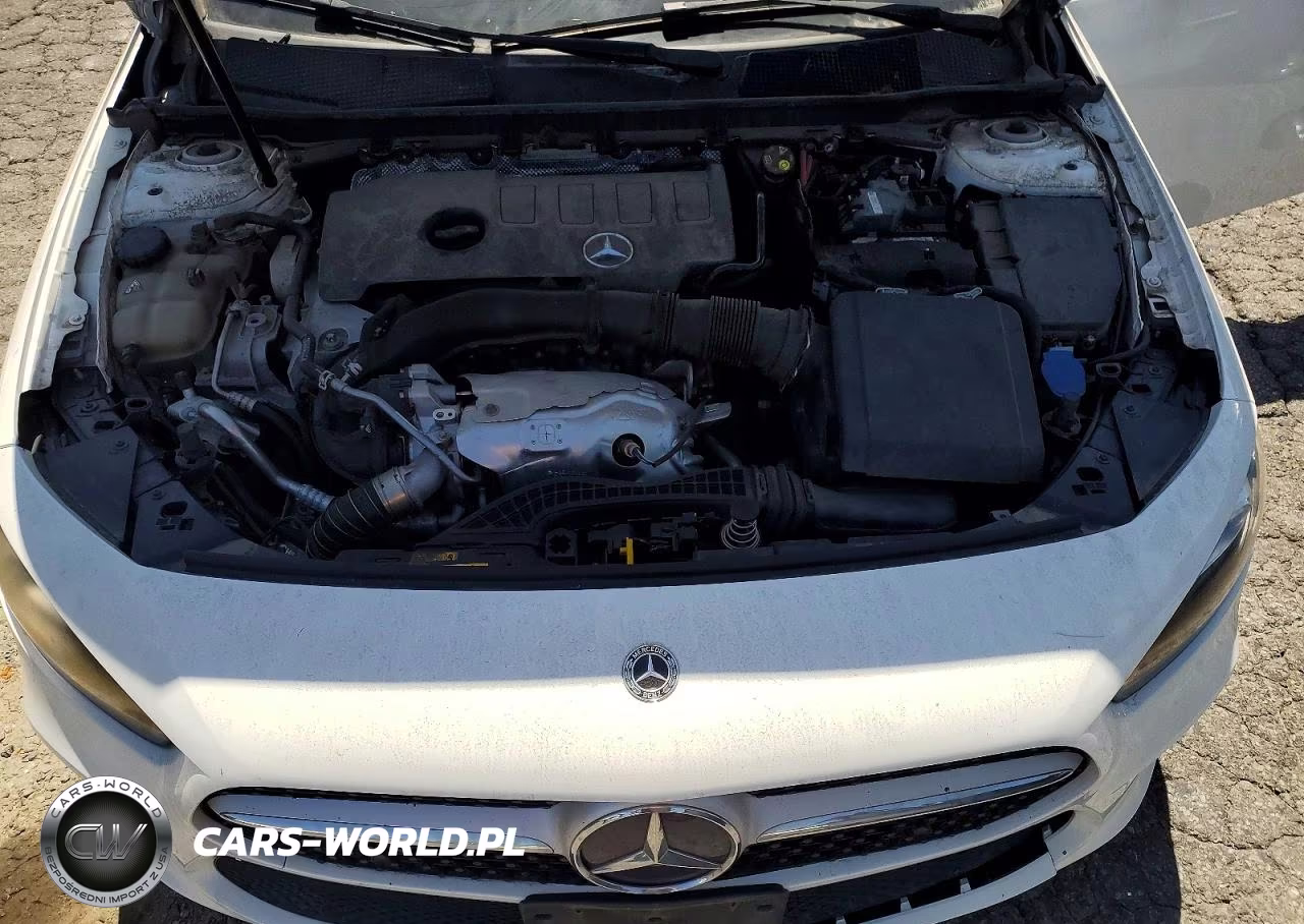2019 Mercedes-Benz A 220 4Matic VIN:WDD3G4FB6KW019697 - 11