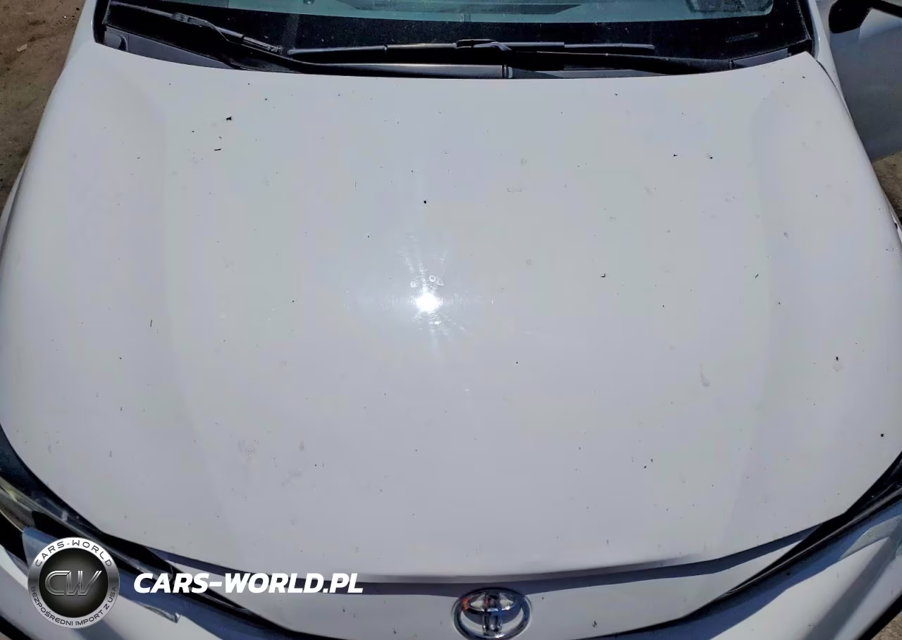 2020 Toyota Corolla Se VIN:JTDP4RCEXLJ011536 - 11