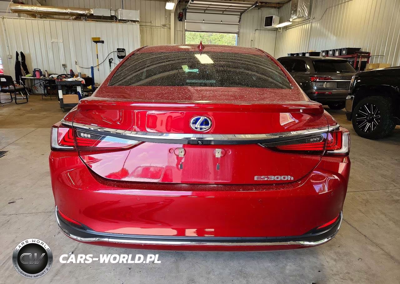 2019 Lexus Es 300H VIN:58AB21B12KU002864 - 6