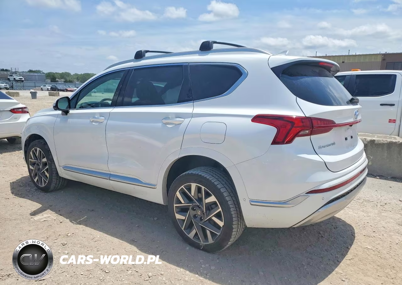 2021 Hyundai Santa Fe Calligraphy VIN:5NMS5DAL2MH363626 - 2