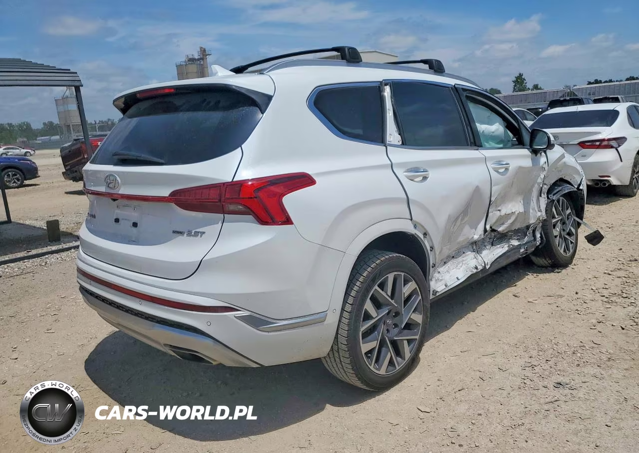 2021 Hyundai Santa Fe Calligraphy VIN:5NMS5DAL2MH363626 - 3