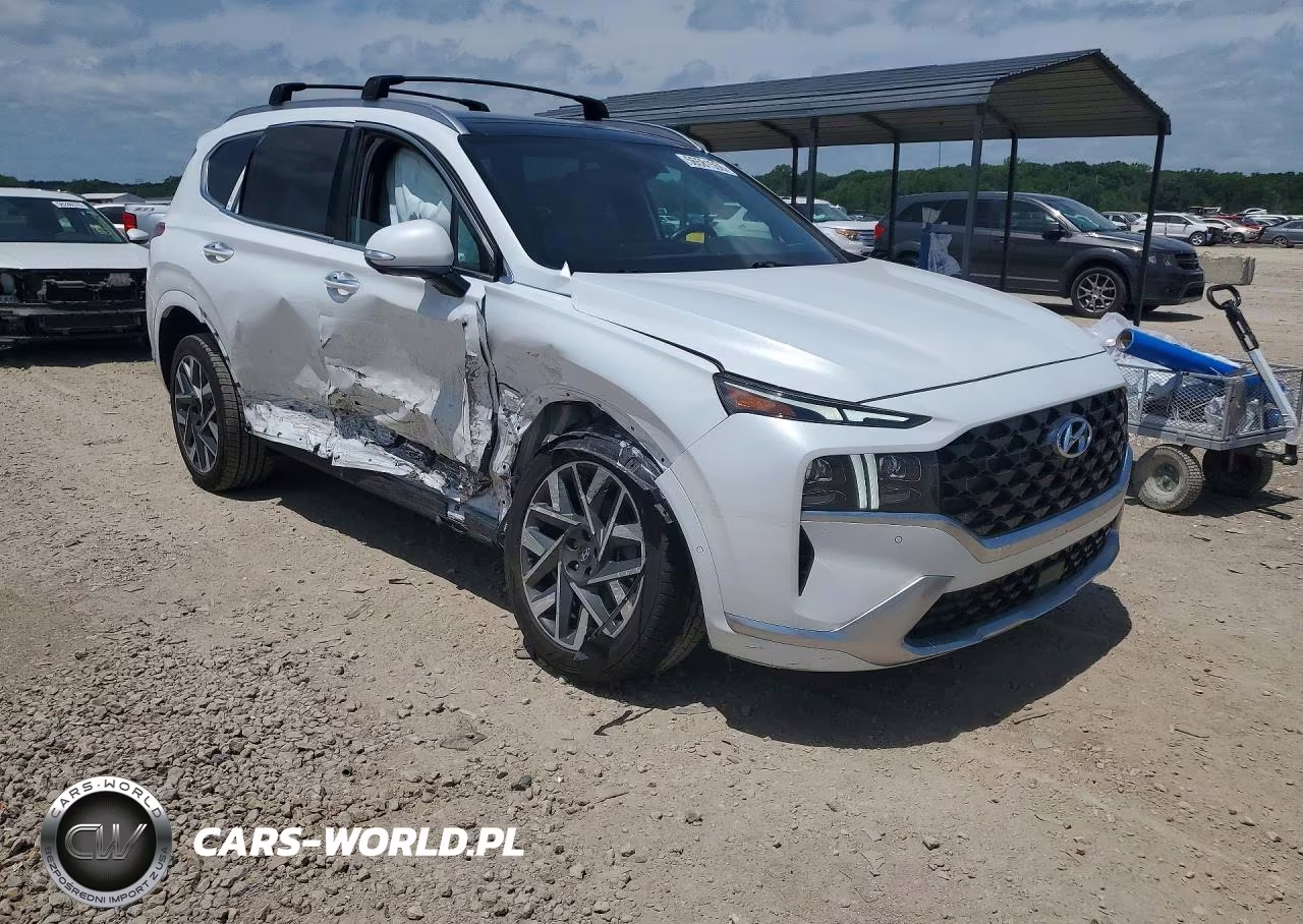 2021 Hyundai Santa Fe Calligraphy VIN:5NMS5DAL2MH363626 - 4