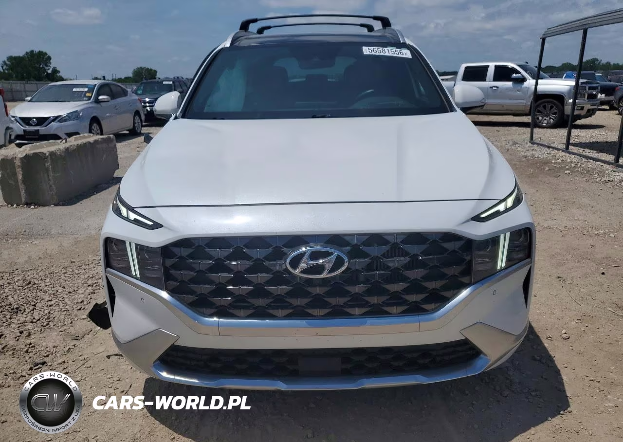 2021 Hyundai Santa Fe Calligraphy VIN:5NMS5DAL2MH363626 - 5