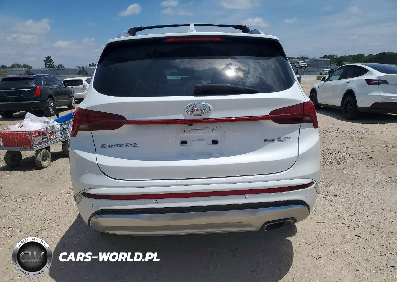 2021 Hyundai Santa Fe Calligraphy VIN:5NMS5DAL2MH363626 - 6