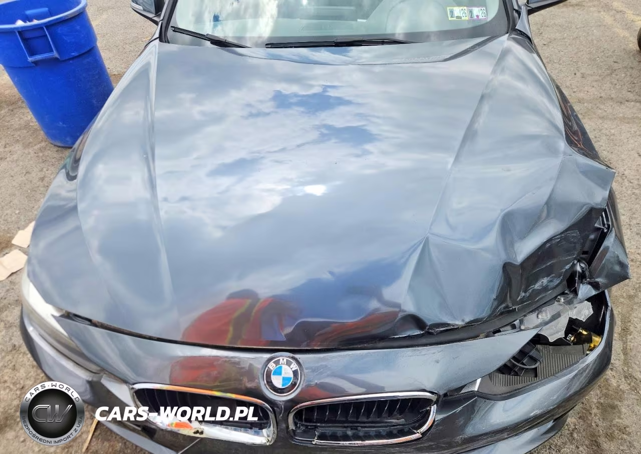 2013 BMW 328 Xi Sulev VIN:WBA3B5G50DNS04888 - 11