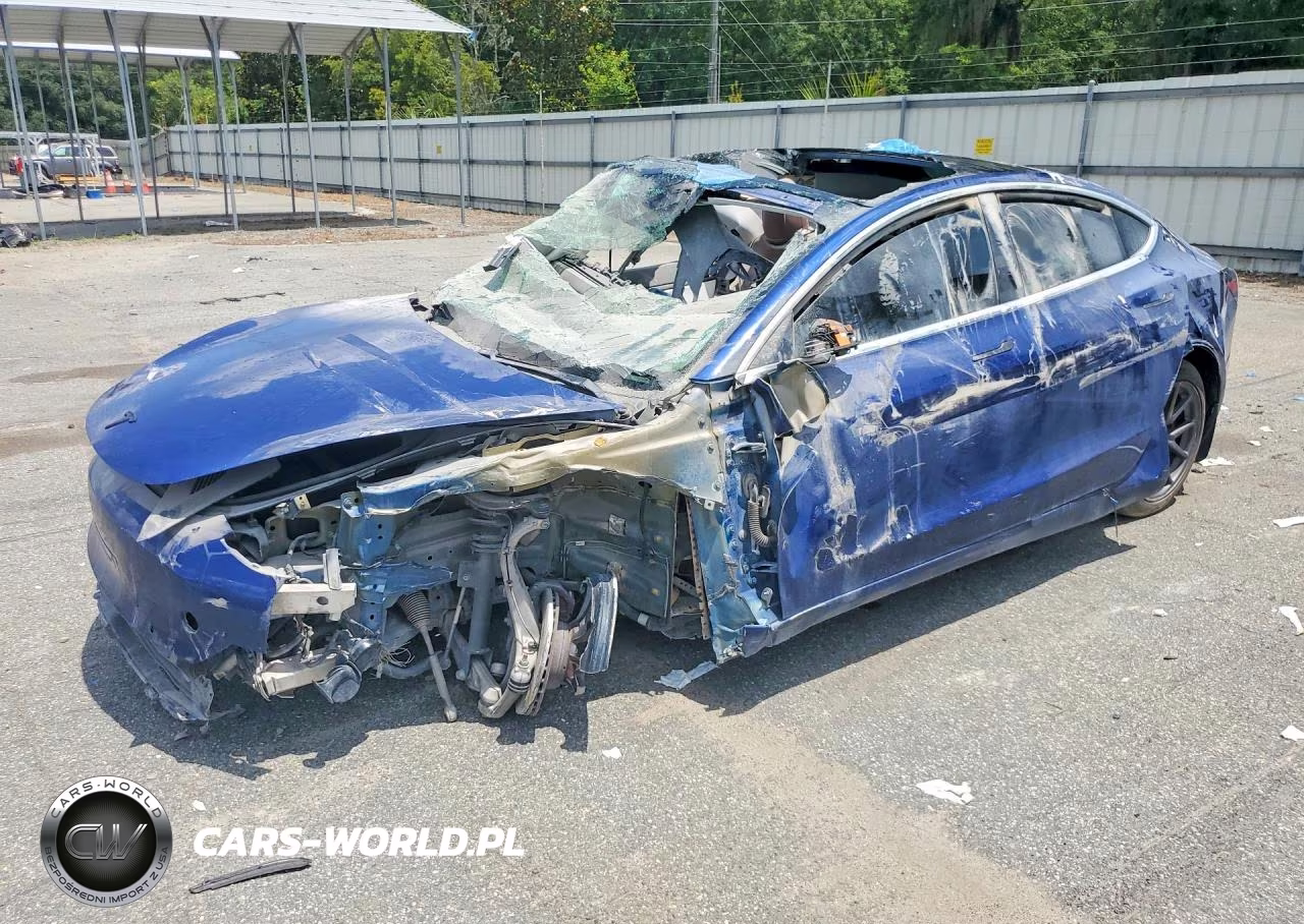 2019 Tesla Model 3