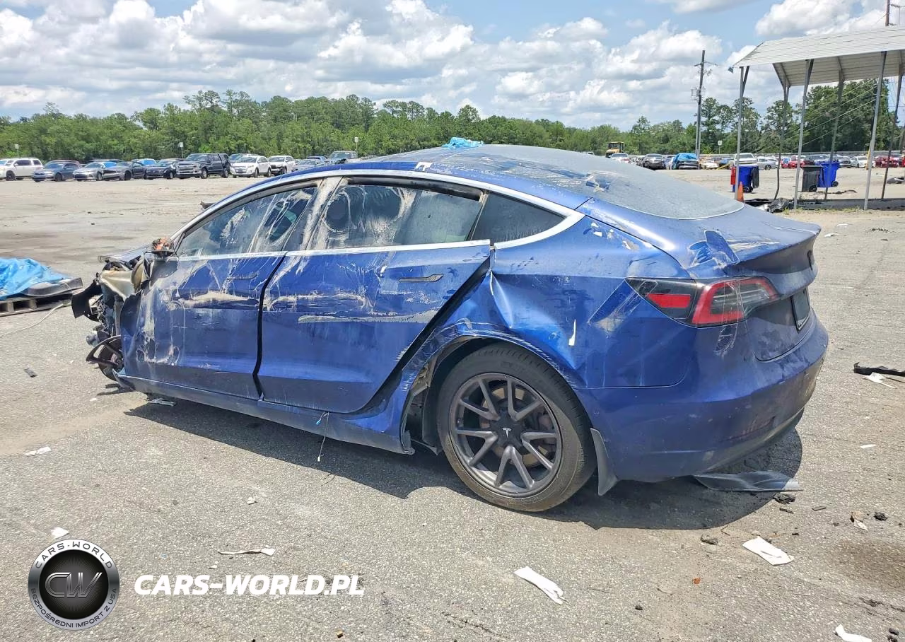 2019 Tesla Model 3 VIN:5YJ3E1EA2KF431739 - 2