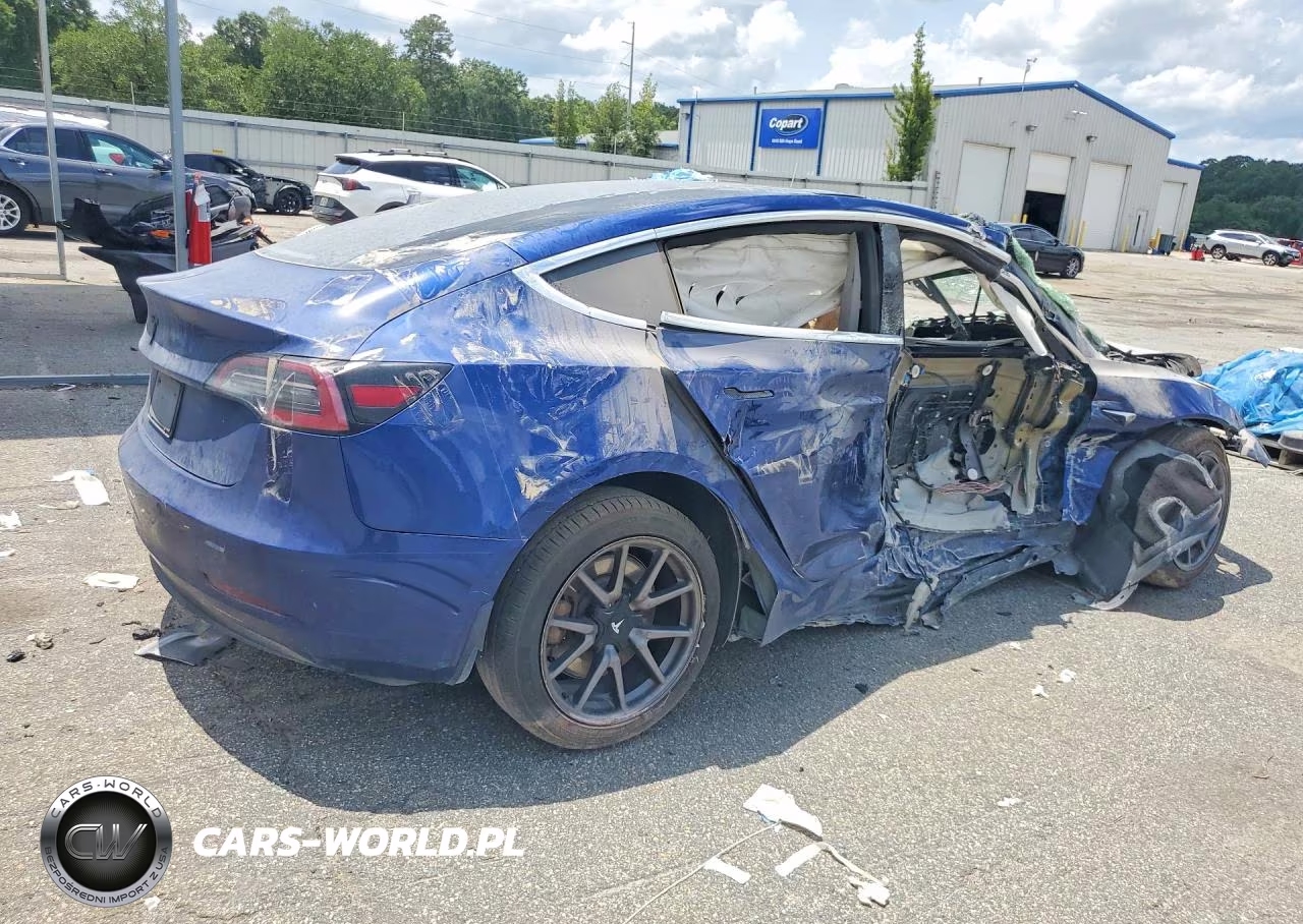 2019 Tesla Model 3 VIN:5YJ3E1EA2KF431739 - 3
