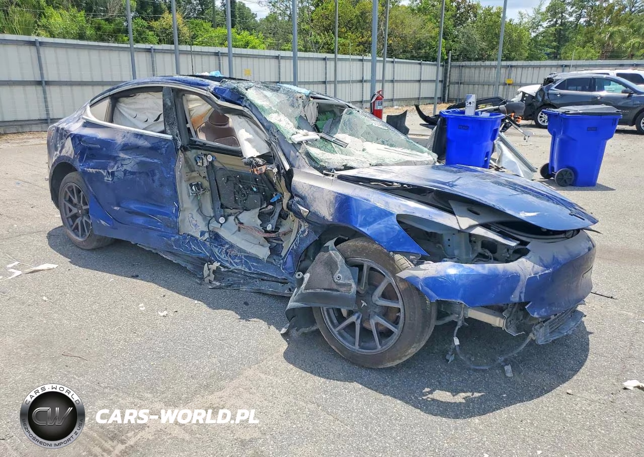 2019 Tesla Model 3 VIN:5YJ3E1EA2KF431739 - 4