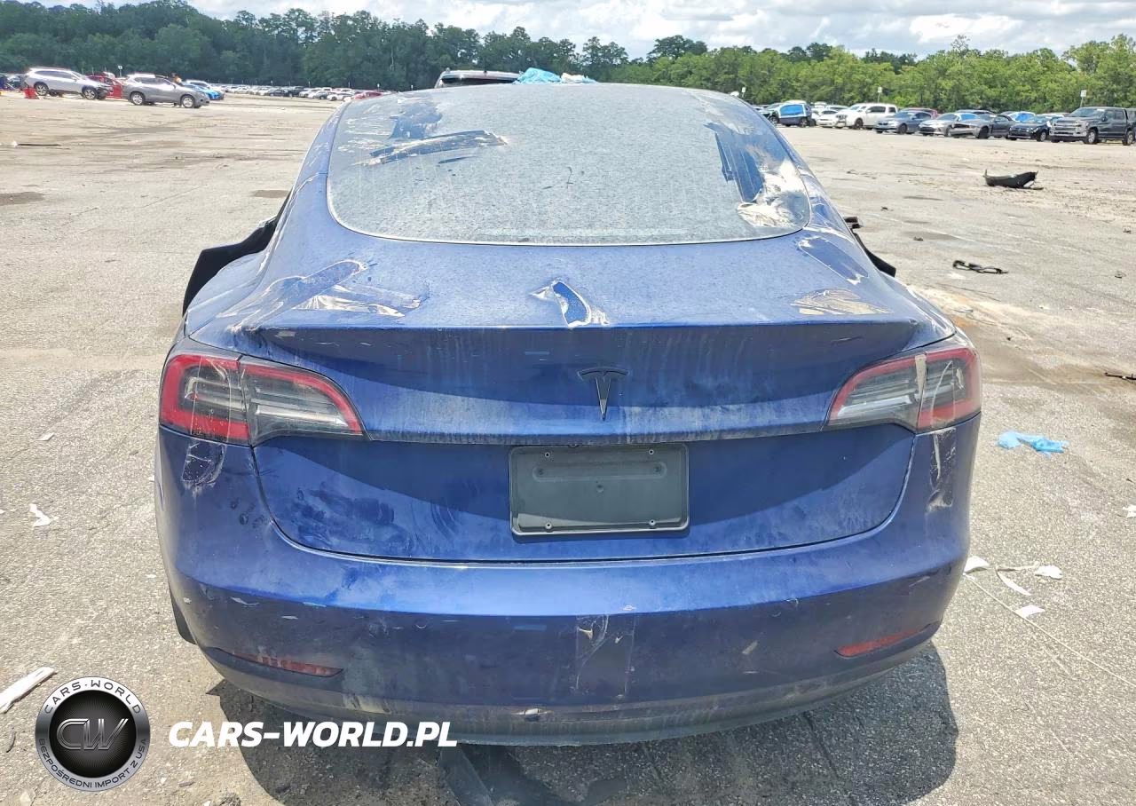 2019 Tesla Model 3 VIN:5YJ3E1EA2KF431739 - 6