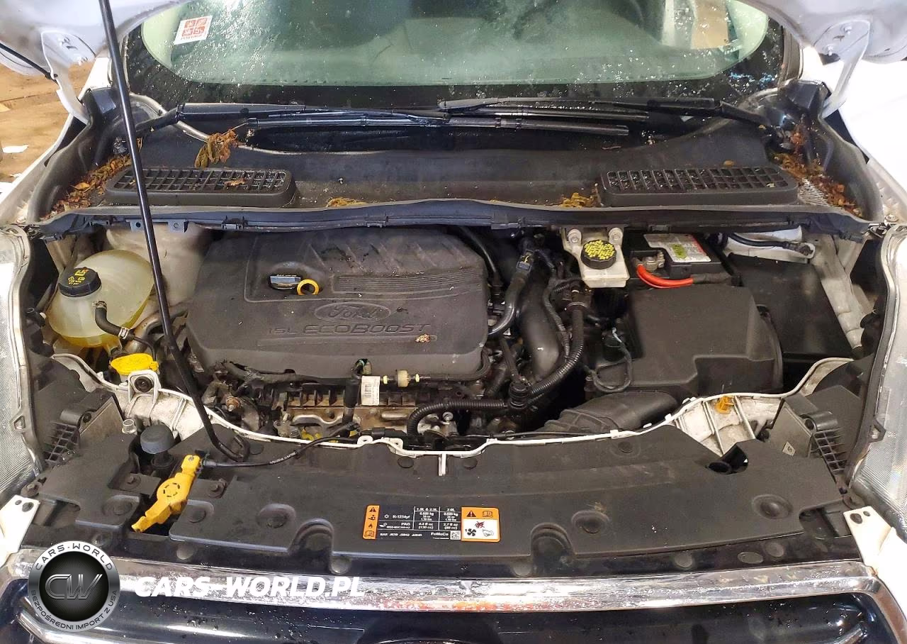 2017 Ford Escape Se VIN:1FMCU0GD6HUB49913 - 12