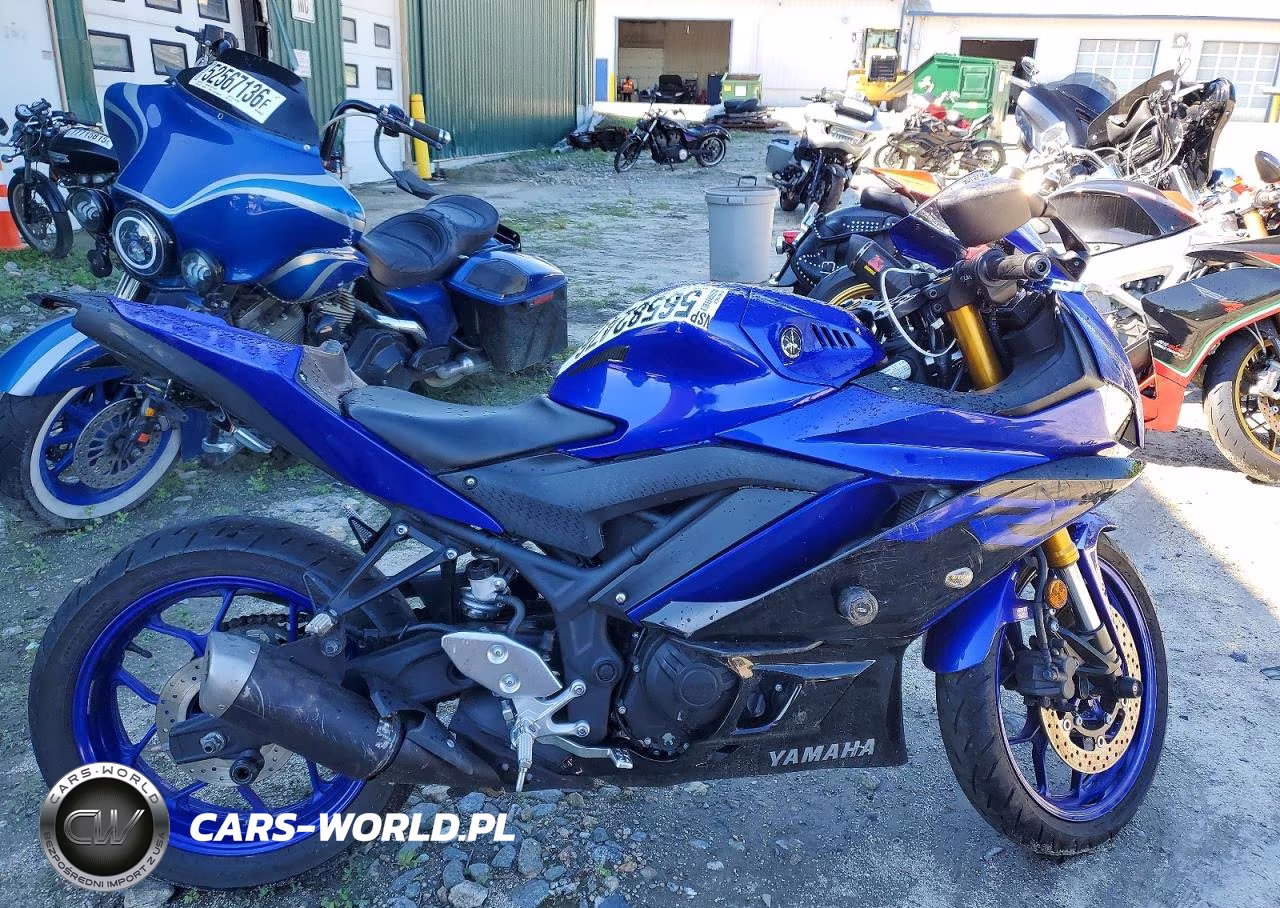 2019 Yamaha Yzfr3