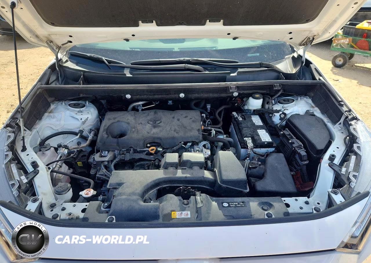 2024 Toyota Rav4 Xle VIN:2T3W1RFV0RW363101 - 12