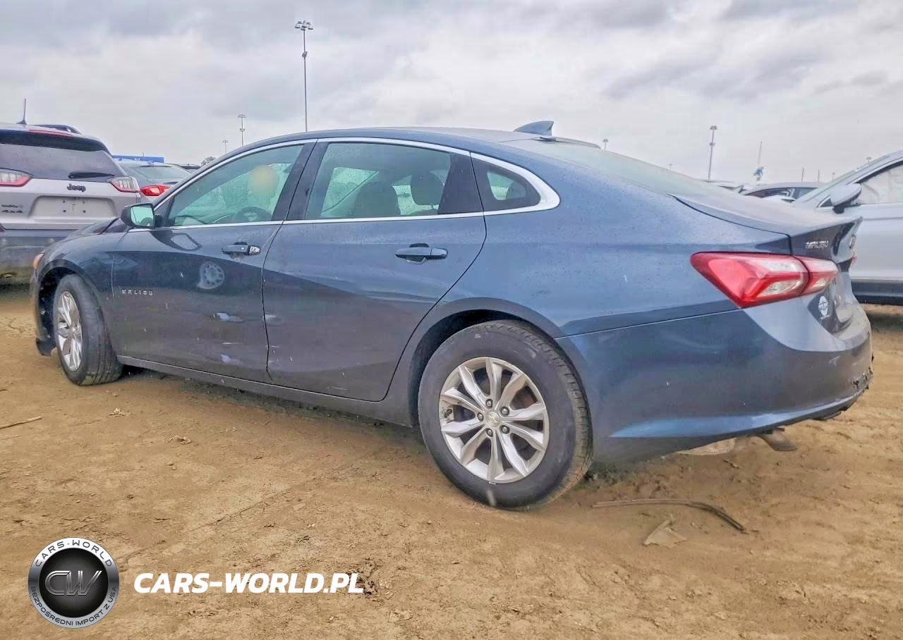 2019 Chevrolet Malibu Lt VIN:1G1ZD5ST0KF166463 - 2
