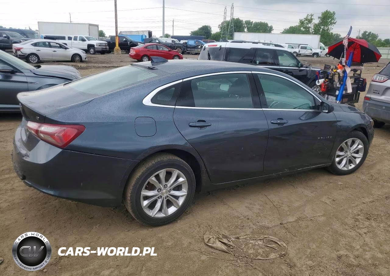 2019 Chevrolet Malibu Lt VIN:1G1ZD5ST0KF166463 - 3