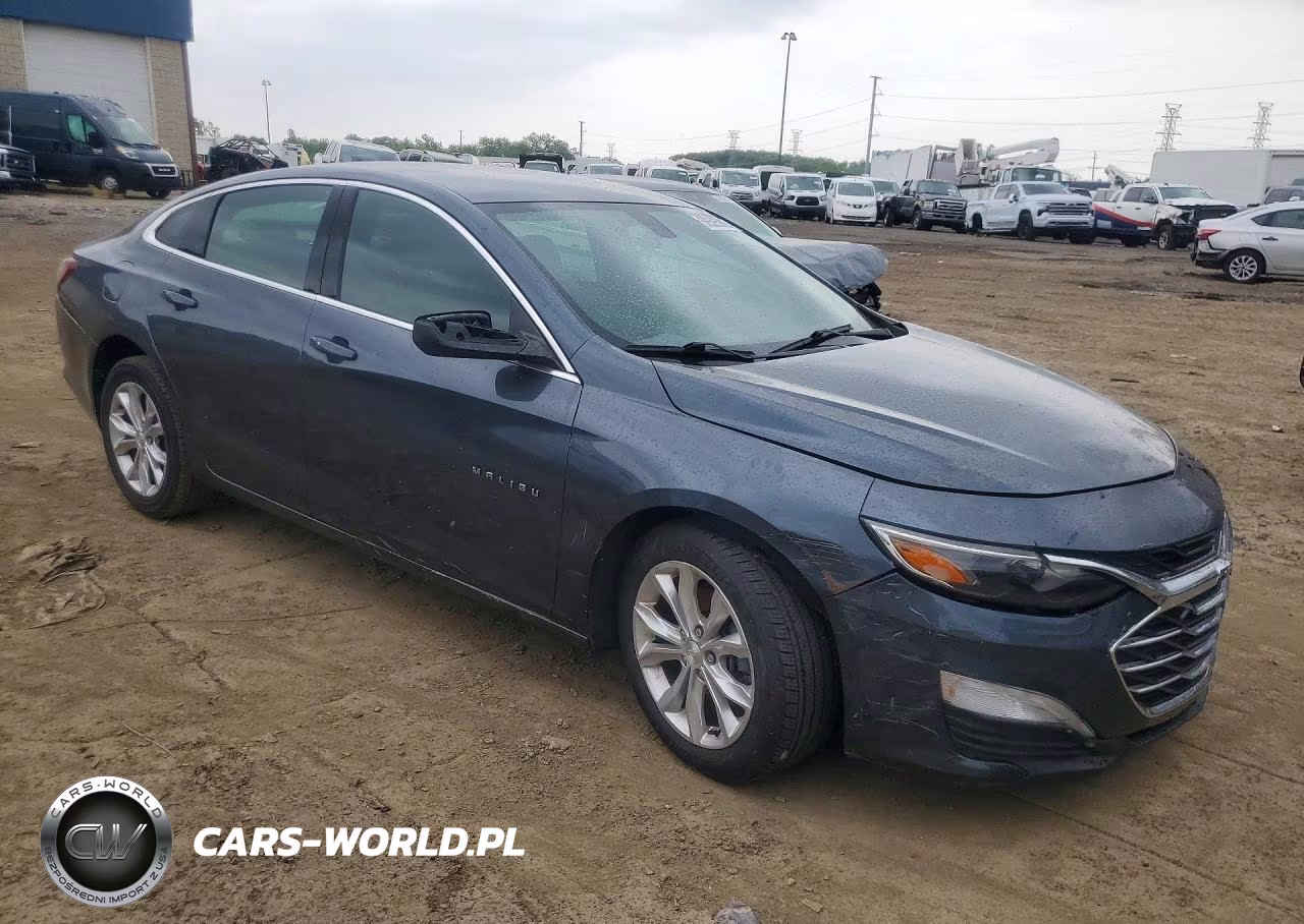 2019 Chevrolet Malibu Lt VIN:1G1ZD5ST0KF166463 - 4