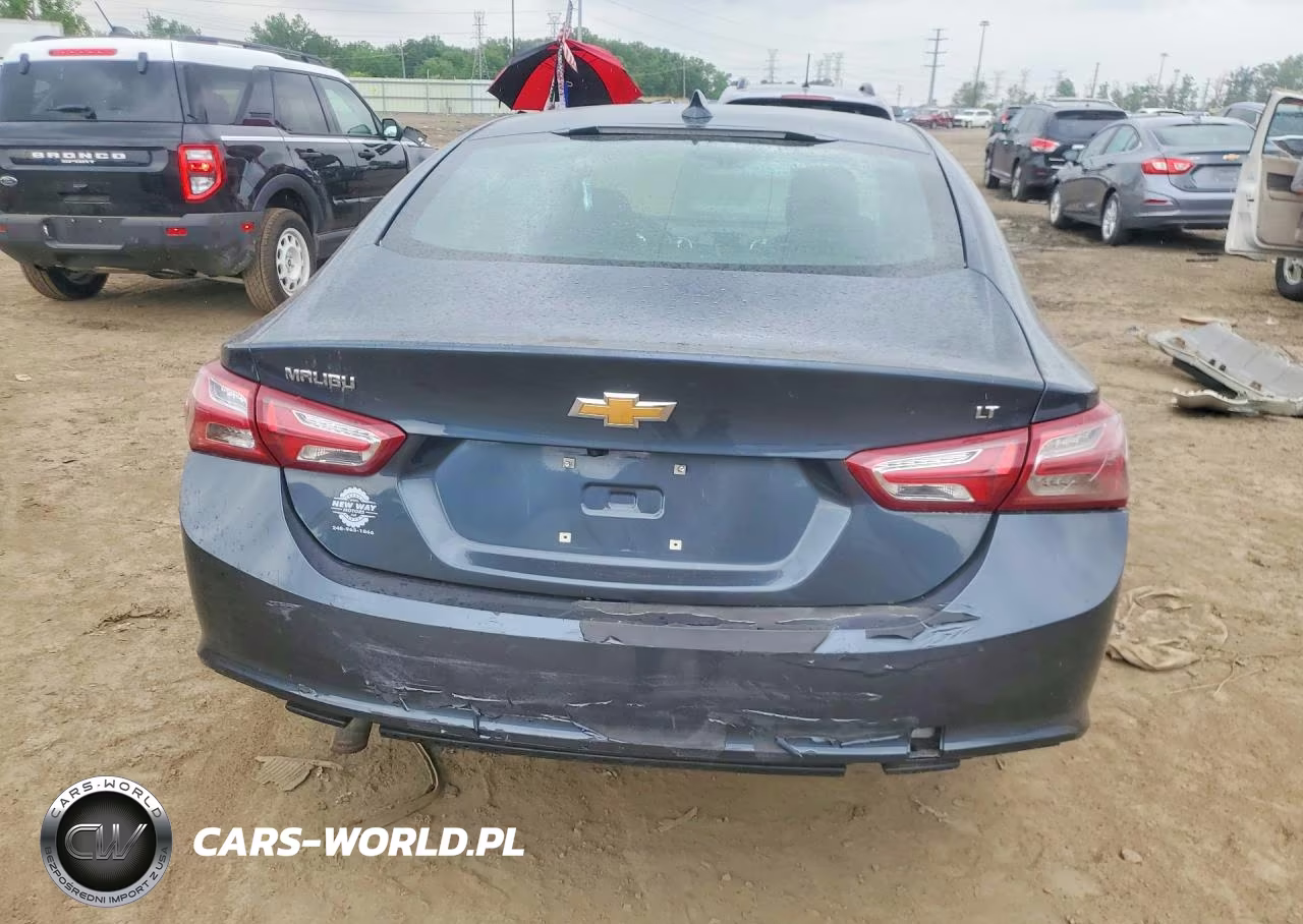 2019 Chevrolet Malibu Lt VIN:1G1ZD5ST0KF166463 - 6