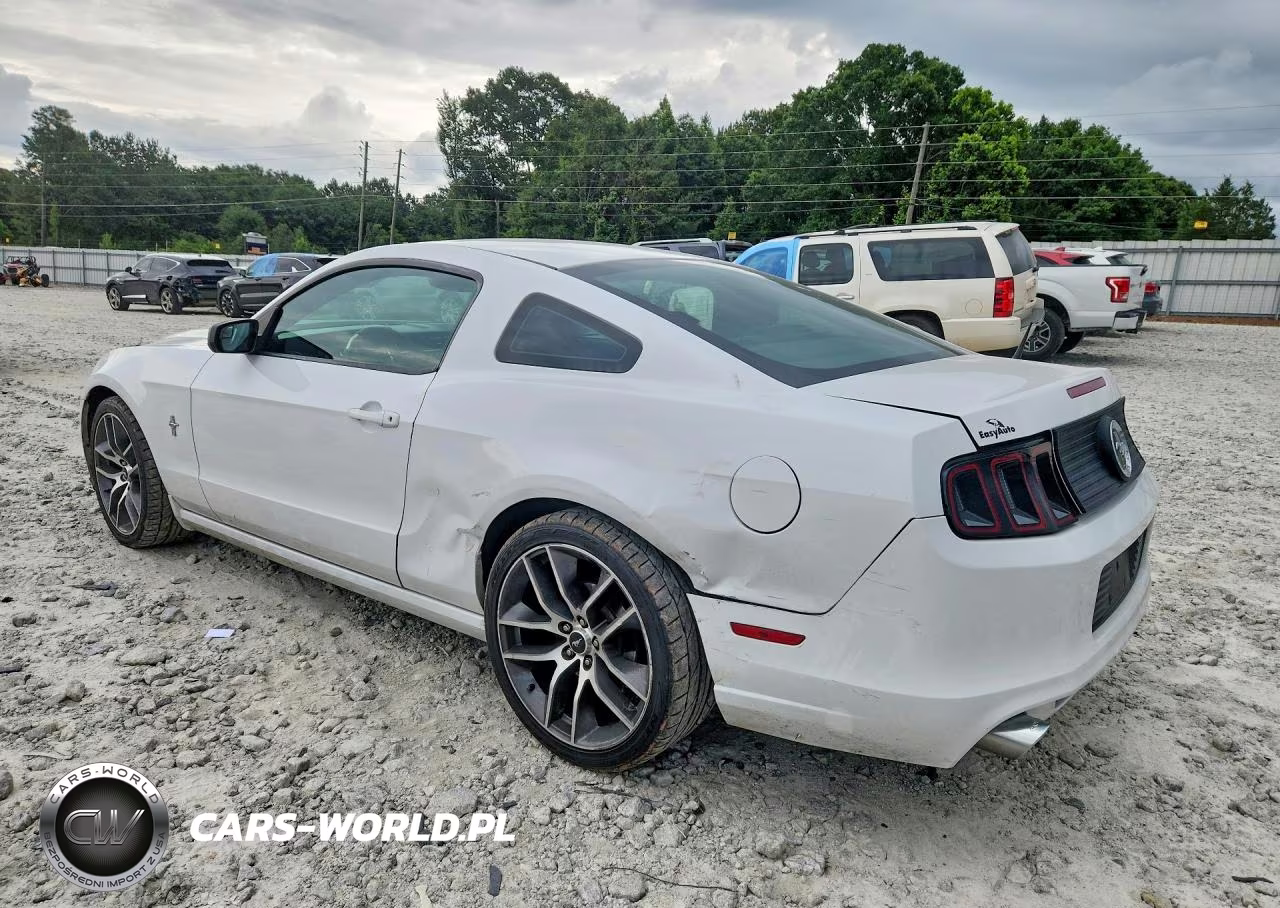 2014 Ford Mustang VIN:1ZVBP8AM1E5313909 - 2