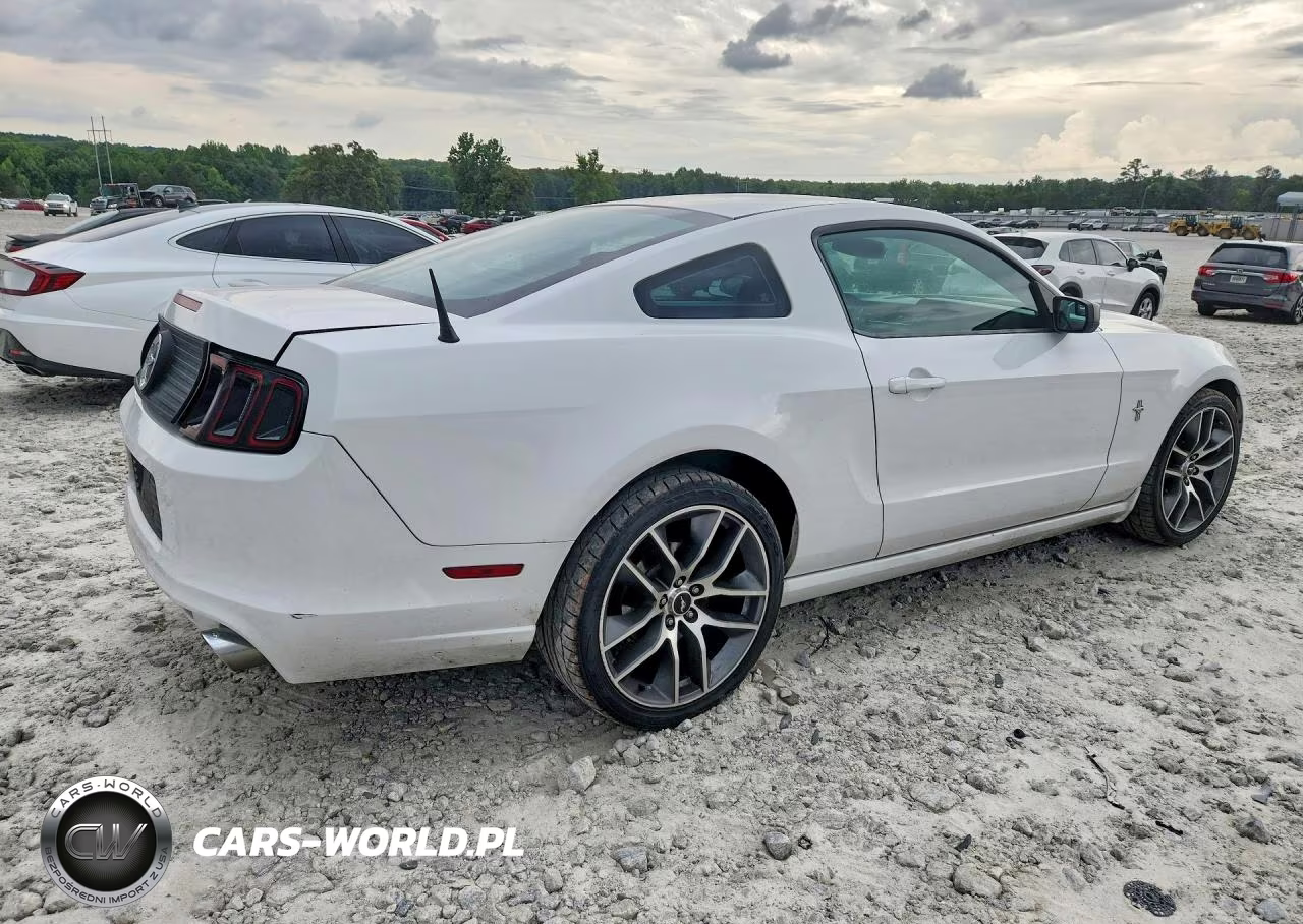 2014 Ford Mustang VIN:1ZVBP8AM1E5313909 - 3