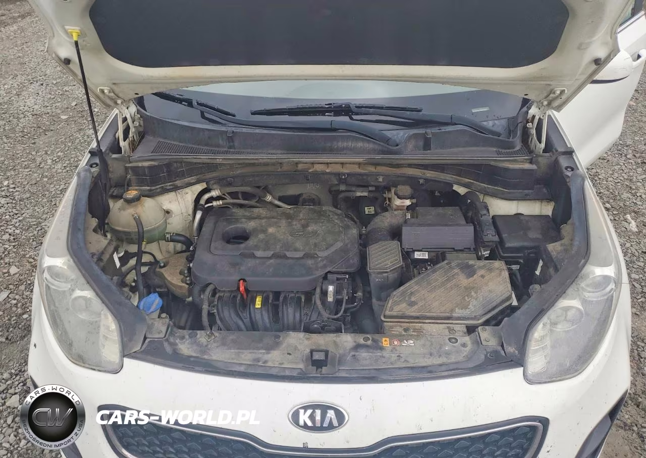 2017 Kia Sportage Lx VIN:KNDPM3AC0H7050882 - 12