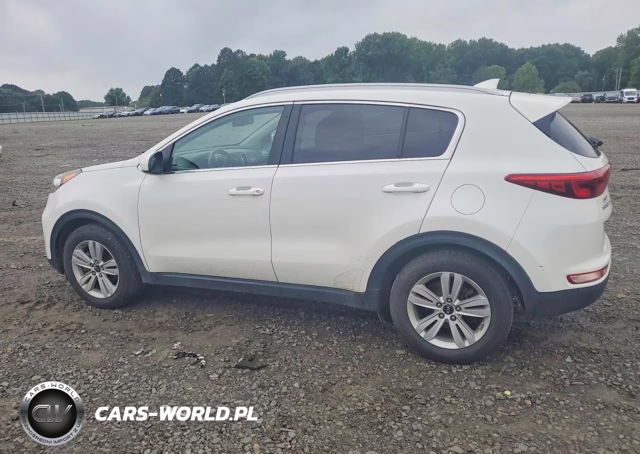 2017 Kia Sportage Lx VIN:KNDPM3AC0H7050882 - 2