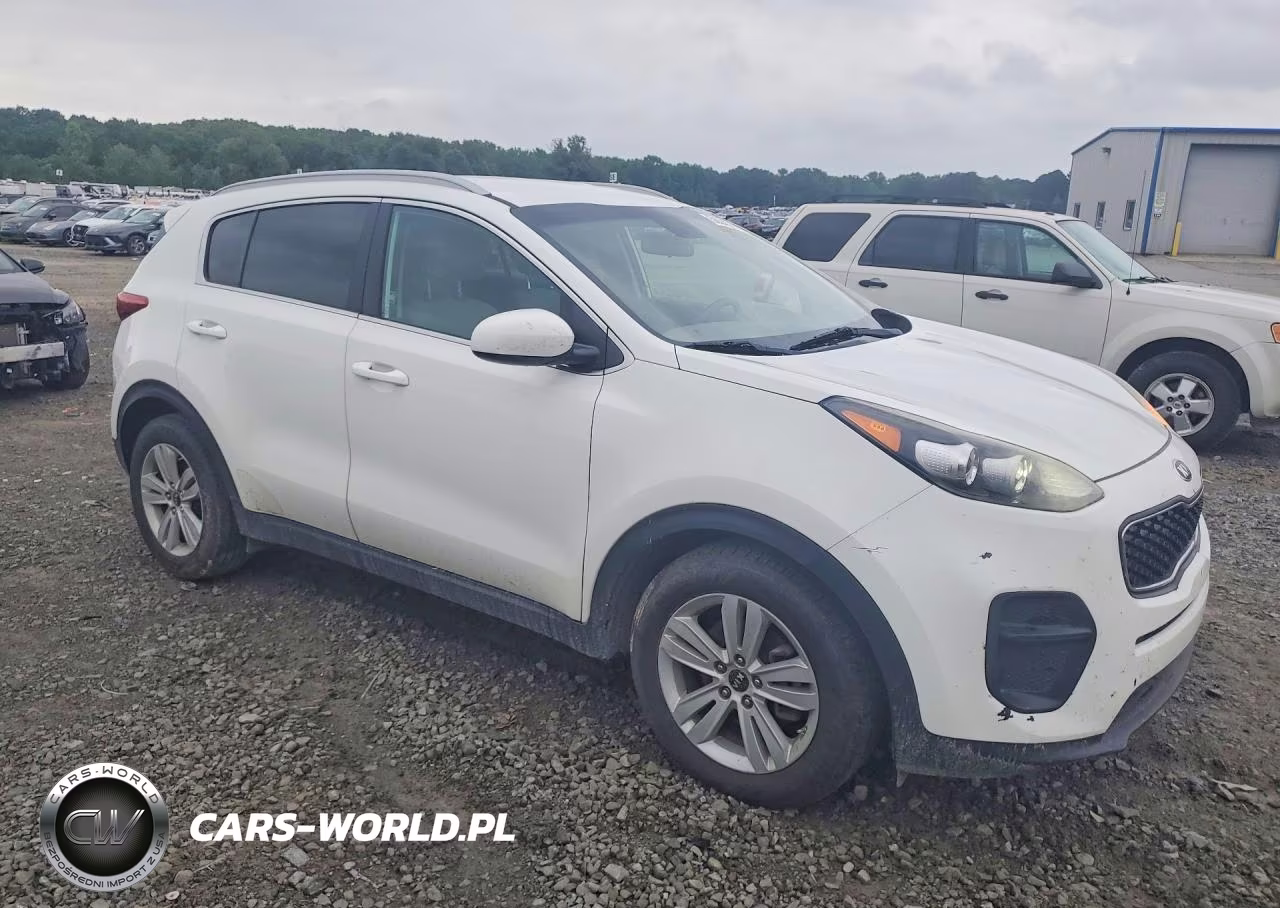 2017 Kia Sportage Lx VIN:KNDPM3AC0H7050882 - 4